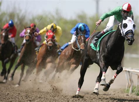 north dakota horse racing betting|North Dakota Online Horse Betting Offers & Sites .